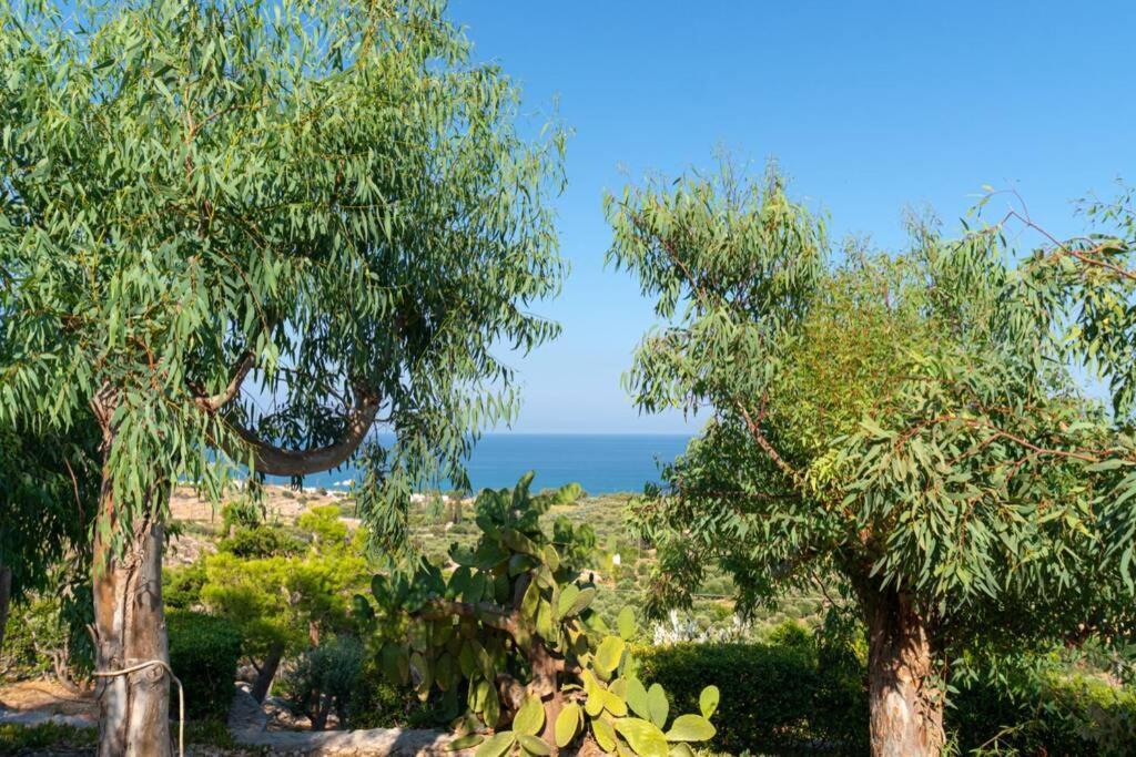 Georgia'S Studio Zakros Luaran gambar