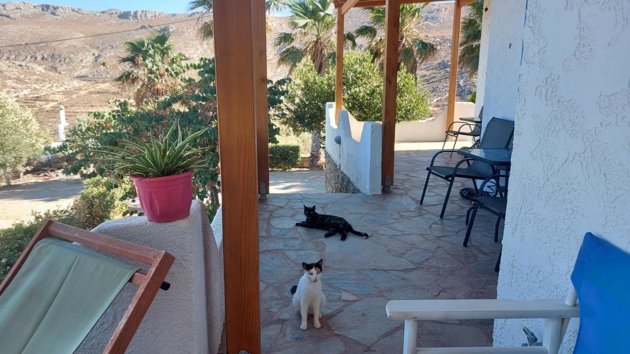 Georgia'S Studio Zakros Luaran gambar
